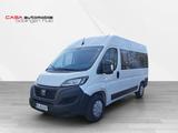 Fiat Ducato 140 Multijet 2.2D 9-Sitzer L2H2 Panorama - Fiat Ducato Kleinbus Sitzer mit Diesel-Antrieb