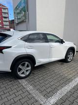 Lexus NX 300 300h Executive Line Executive Line - Lexus NX Series: Privatanbieter