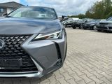 Lexus UX250 Hybrid Luxury Line*Nachlackierungsfrei - Lexus UX Gebrauchtwagen