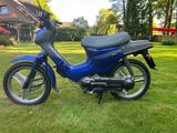 Honda Wallaroo PK50SMS  - Angebote entsprechen deinen Suchkriterien