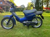 Honda Wallaroo PK50SMS  - HONDA MOFA