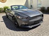 Ford MustangConvertible 2.3 Eco*Kamera*Navi*SHZ/LFT* - Ford Mustang: 3.3