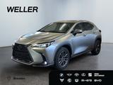 Lexus NX 450h+ E-FOUR Executive Line *Bi-LED*360°*HiFi - silberne Lexus NX 450h