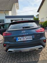 Kia XCeed 1.4 T-GDI DCT Platinum Edition Platinu... - Kia XCeed mit Panoramadach