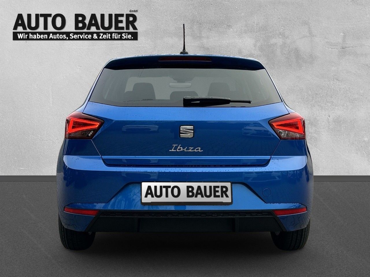 Fahrzeugabbildung SEAT Ibiza Road Edition 1.0 TSI 116 PS DSG