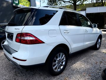 Mercedes ML 250 - 6