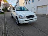 Mercedes-Benz ML 270 CDI - - Mercedes-Benz ML 270: Von Privat