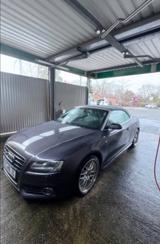 Audi A5 3.0 TDI (DPF)S tronic quattro Cabriolet B&O - Audi A5 aus 2011: Cabrio