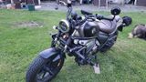 QJ Motor SRV550ST  - QJ MOTOR MOTORRAD