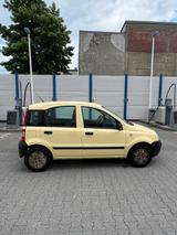 Fiat Panda - Fiat Panda Gebrauchtwagen in Düsseldorf