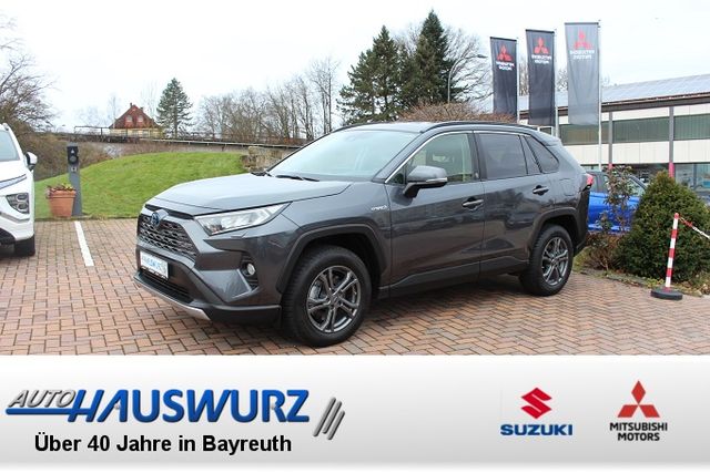 Toyota RAV4 Hybrid 4x4 Team D, Technik P, AHK