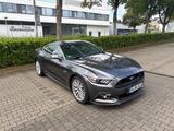 Ford Mustang 5.0 Ti-VCT V8 GT GT - Ford Mustang Gebrauchtwagen in Wuppertal