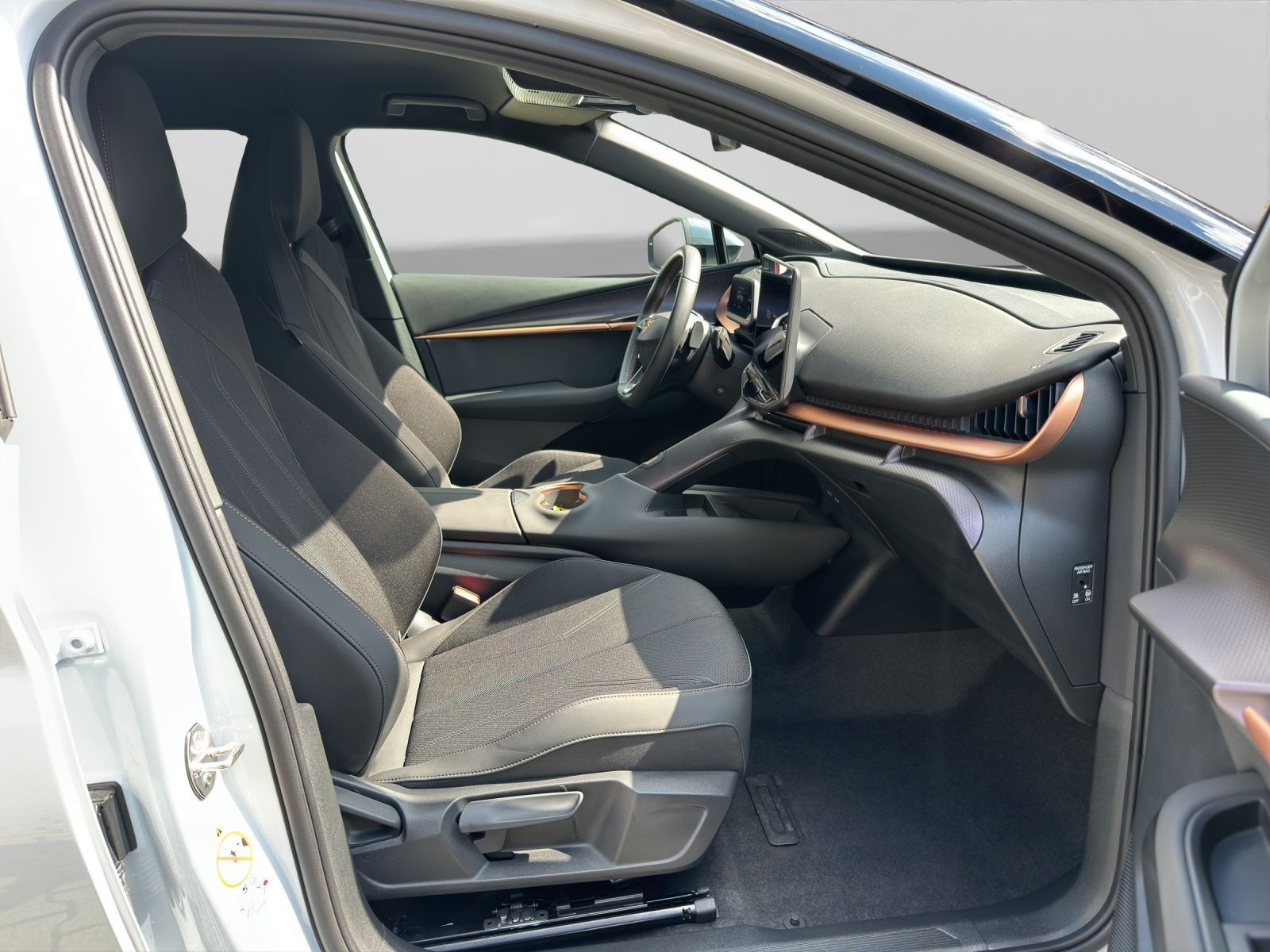 Cupra Tavascan - Bild 4