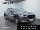 Mazda CX-30 e-SKYACTIVE G 122 HOMURA *AHK*HUD*ACC*CAM* - Mazda CX-30 Homura mit Benzin-Antrieb