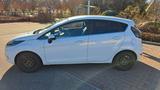 Ford Fiesta 1,25 60kW Titanium Titanium "Fridolin" - Ford Fiesta von privat