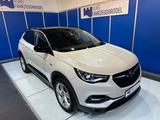 Opel Grandland (X) Innovation*Navi*Pano*AHK* - scheckheftgepflegte Opel Gebrauchtwagen