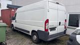 Peugeot Boxer - gebrauchte Peugeot Boxer aus dem Jahr 2008