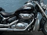Suzuki VL 800 VOLUSIA WINDSCHILD*KOFFER*LIEFERUNG MGL* - Offers