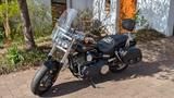 Harley-Davidson Fat Bob FXDF Naked oder Tourer - HARLEY-DAVIDSON FXDF