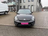 Volkswagen Beetle Cabriolet Sound 2.0 TDI 150PS Navi, Alu - Volkswagen New Beetle mit Diesel-Antrieb: Cabrio