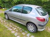 Peugeot 206 Petit Filou 75 Petit Filou, viele Neuteile - Peugeot 206: Petit Filou