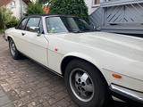 Jaguar X35-C 3.6 - Jaguar aus 1985