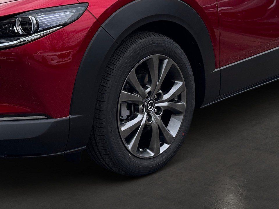 Fahrzeugabbildung Mazda CX-30 X 2.0i 186PS A/T Takumi SUNR BLOP