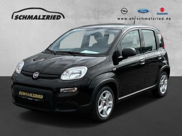 Fotografie Fiat Panda Base 1.0 Mild Hybrid DAB Klima Freisprech