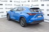 Lexus NX 450h+ 2,5 PHEV AWD Business Plus - Lexus NX-Serie