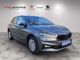 Fabia Selection 1.0 TSI Klima Navi SHZ PDC