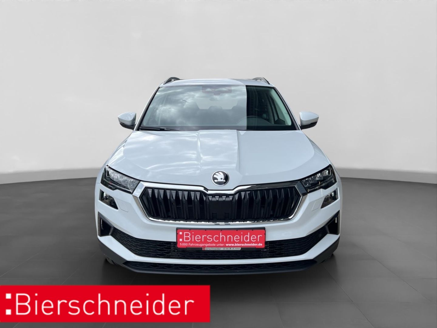 Skoda Karoq - Bild 10