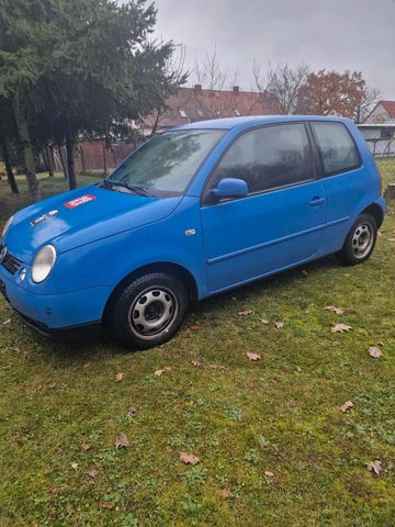 Volkswagen VW Lupo zu verkaufen