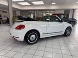 Volkswagen Beetle 1.2 TSI Cup*DESIGN*1.HAND*SCHECKHEFT*NAVI - Volkswagen Beetle: Weiß