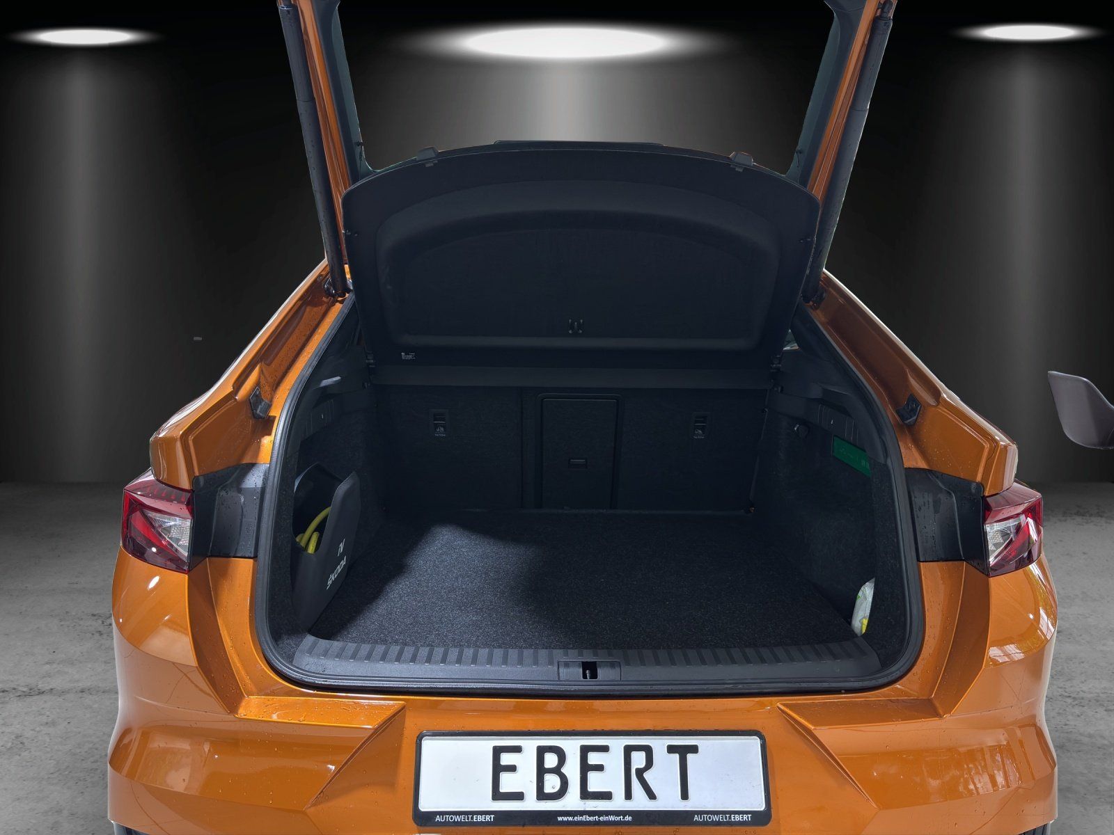Fahrzeugabbildung SKODA Enyaq Coupé iV RS