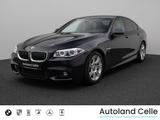 BMW 525d M Sport Kamera HUD HiFi DrivingAssist LED - BMW: D