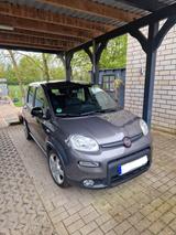 Fiat Panda 1.0 GSE Hybrid SPORT SPORT - Fiat Panda Sport mit Benzin-Antrieb