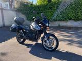 Triumph Tiger T709 885i - TRIUMPH 2000