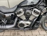Harley-Davidson Nightster 975 RH975 - Harley-Davidson RH 975 Nightster