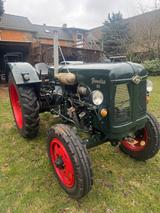 Andere Famulus RS14/36
