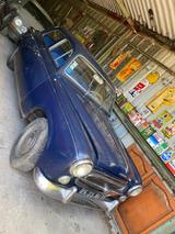 Peugeot 403 LUXE von 1961 - Peugeot: 403