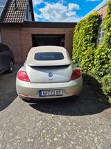 Volkswagen Beetle 2.0 TDI 81kW BMT CLUB Cabriolet CLUB - Volkswagen Beetle mit Diesel-Antrieb: Cabrio