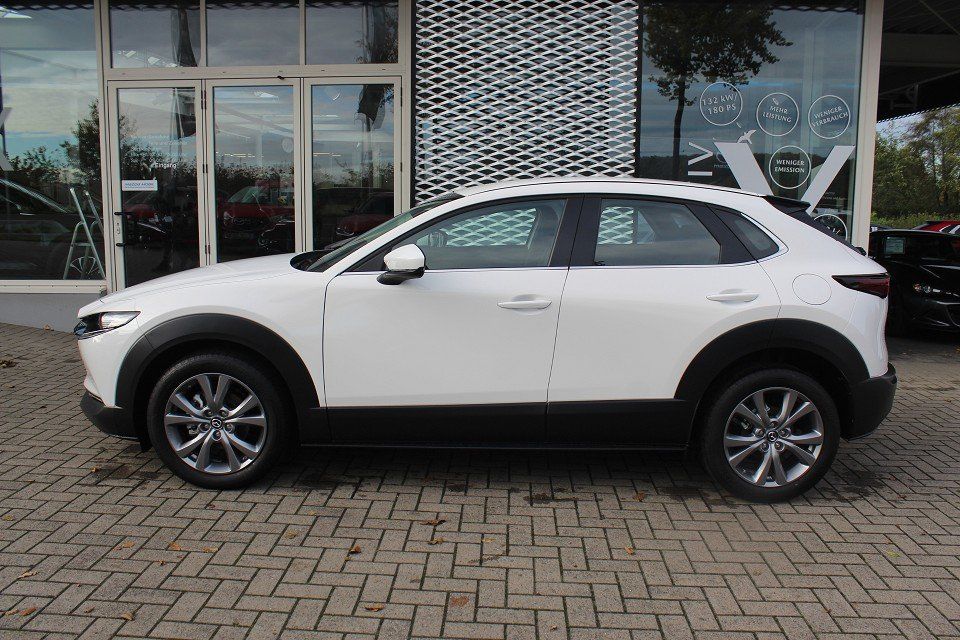 Fahrzeugabbildung Mazda CX-30 M-Hybrid Selection G-150 LEDER-S PRE-P DES