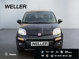 Fiat Panda 1.2 Lounge *hzb Fronts*SHZ*PDC hi*DAB*Klim - gebrauchte Fiat Panda aus dem Jahr 2020