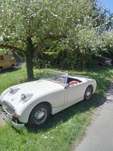Austin  Austin Healey Sprite Frogeye  - Austin mit Benzin-Antrieb: Cabrio