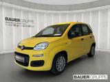 Fiat Panda 1.0 GSE * * PDC * TOP PREIS * ABS Airbag E