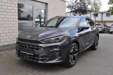 Cupra Terramar - 2