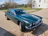 Jaguar XJ12 - Jaguar XJ12 von privat