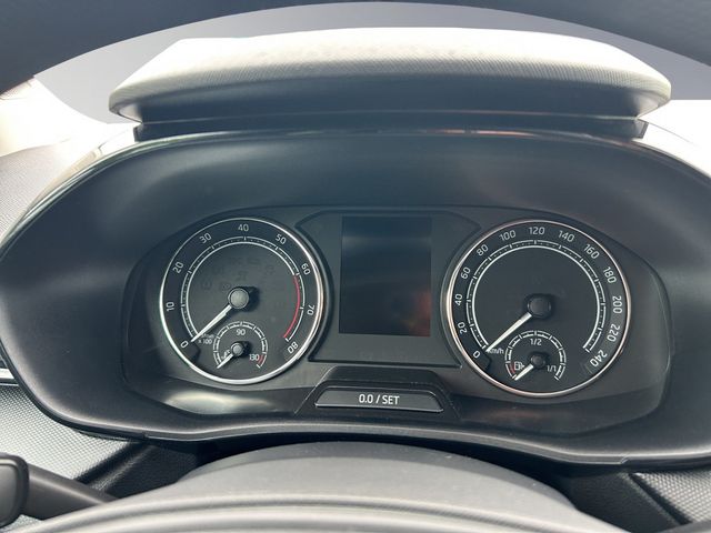 Fabia Active
