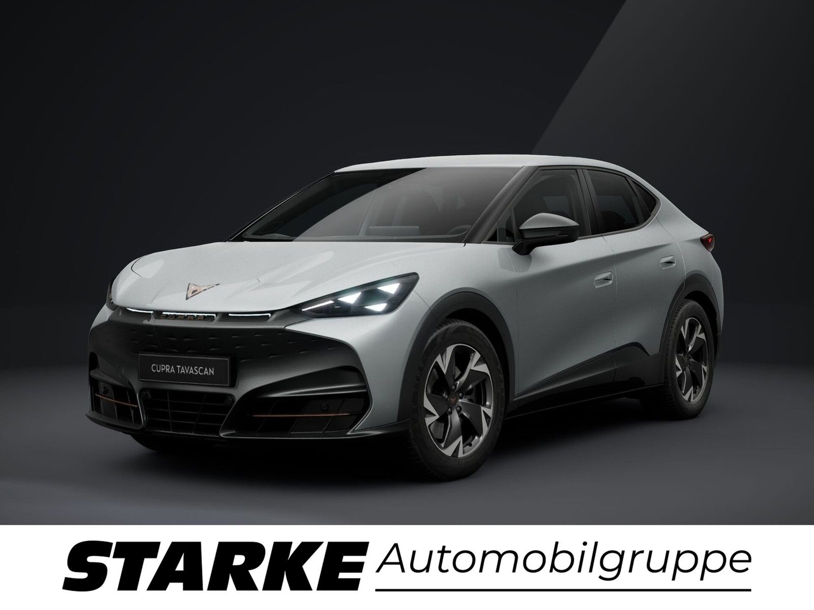 Cupra Tavascan 210 kW Endurance  LED Kamera PDC LM Tem imagem 2