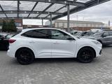 Ford Kuga Diesel 2.0 EcoBlue AWD ST-LINE X KAMERA+LED - Ford mit Diesel-Antrieb: Geländewagen